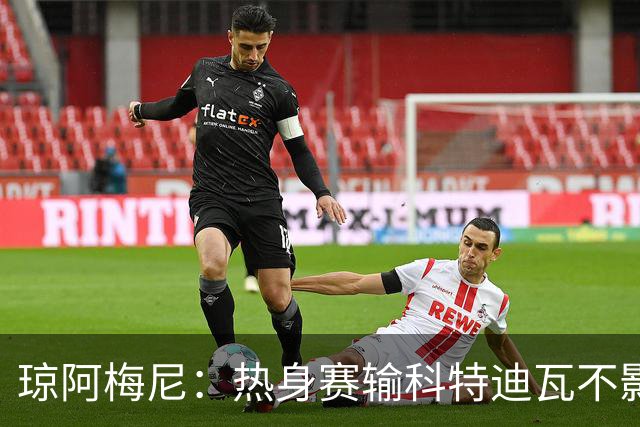 琼阿梅尼：热身赛输科特迪瓦不影响法国，可以说是一次小小的提醒